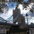 Fotos von der Tower Bridge beim Tower of London